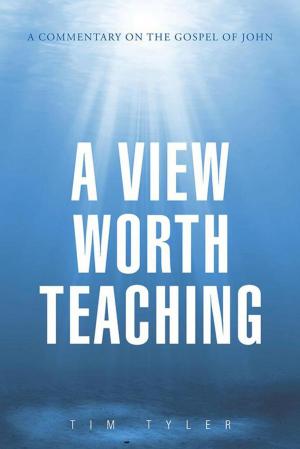 Cover of the book A View Worth Teaching by Marty Rightmyer
