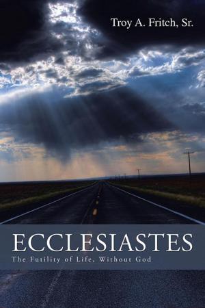 Cover of the book Ecclesiastes by Meir Shalev