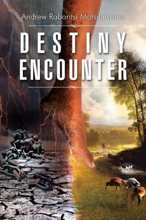 Cover of the book Destiny Encounter by Susan Hookway