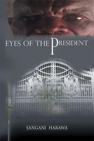 Cover of the book Eyes of the President by David Jenkins