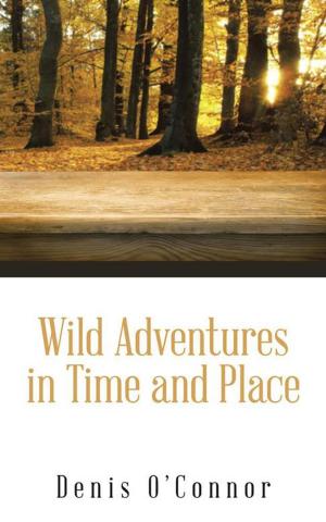 Cover of the book Wild Adventures in Time and Place by Jenna Carter