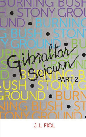 Cover of the book Burning Bush Stony Ground by Penelope Bourdillon