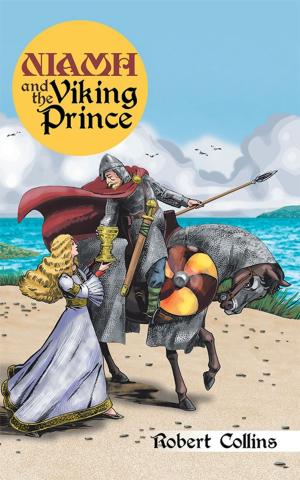 Cover of the book Niamh and the Viking Prince by Bridgette D. Ford
