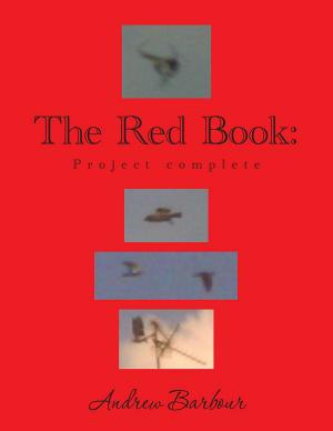 Cover of the book The Red Book by William Post