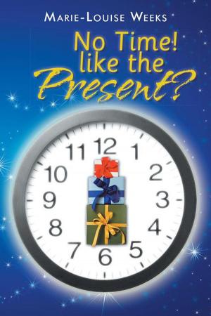bigCover of the book No Time! Like the Present? by 