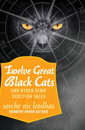 Cover of the book Twelve Great Black Cats by Bernard Evslin
