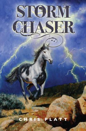 Cover of the book Storm Chaser by Elizabeth A. Lynn