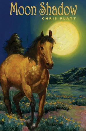 Cover of the book Moon Shadow by Denton Welch