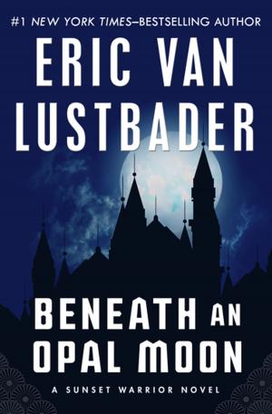 bigCover of the book Beneath an Opal Moon by 