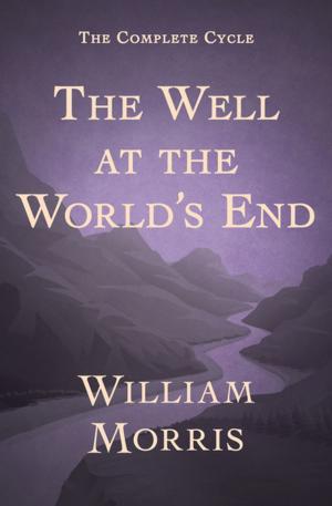 Cover of the book The Well at the World's End by Zilpha Keatley Snyder