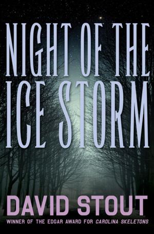 Cover of the book Night of the Ice Storm by Christopher Wright