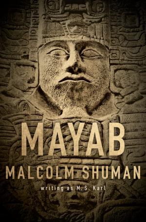 Cover of the book Mayab by Selmoore Codfish