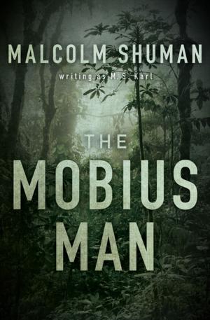 Book cover of The Mobius Man