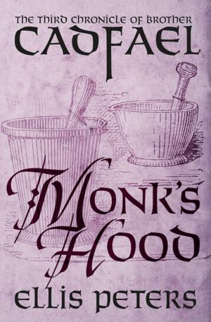 Cover of the book Monk's Hood by Alan Payne
