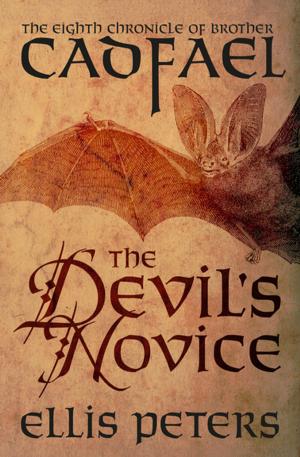 Cover of the book The Devil's Novice by Tony Blackman
