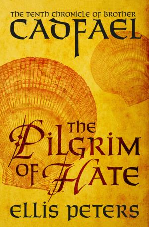 Cover of the book The Pilgrim of Hate by Gloria Steinem