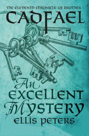 Cover of the book An Excellent Mystery by Joni Green