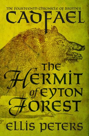 bigCover of the book The Hermit of Eyton Forest by 