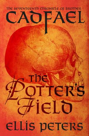 Cover of the book The Potter's Field by Kristen Houghton