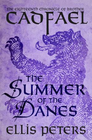 Cover of the book The Summer of the Danes by Peter Bartram