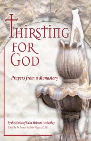 Cover of the book Thirsting for God by Daniel Grippo