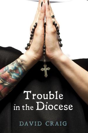 Cover of the book Trouble in the Diocese by Jack R. Lundbom