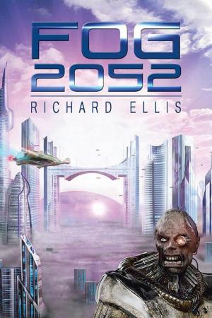 Cover of the book Fog 2052 by Barry McMillan