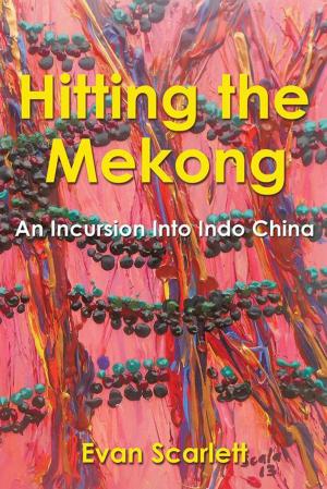 Book cover of Hitting the Mekong