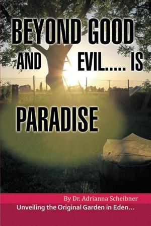 Cover of the book Beyond Good and Evil..... Is Paradise by Jem Amber Stone