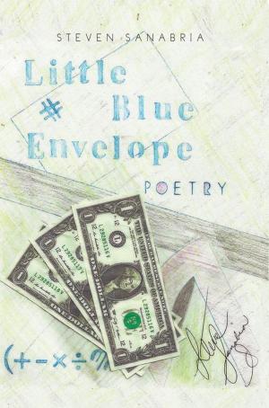 Cover of the book Little Blue Envelope by Leah Hill McNair