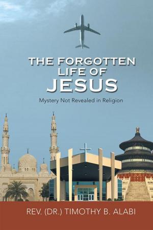 Cover of the book The Forgotten Life of Jesus by Donald Alan Straub III