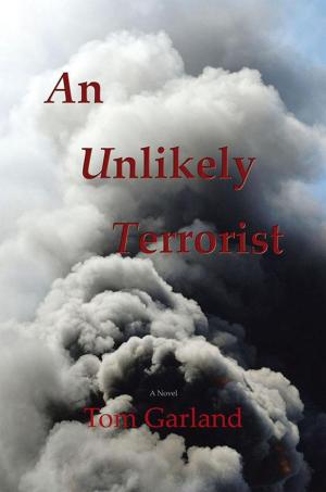 Cover of the book An Unlikely Terrorist by Audrey B.R. Williams