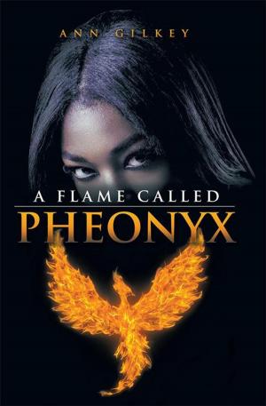 Cover of the book A Flame Called Pheonyx by GFS