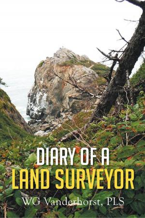Cover of the book Diary of a Land Surveyor by Cheryl Ainsworth Martin
