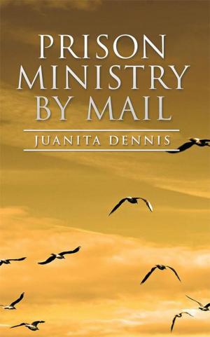 Cover of the book Prison Ministry by Mail by Phylis Stacey Shapiro