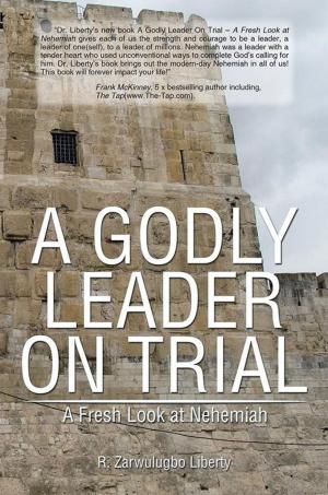 Cover of the book A Godly Leader on Trial : a Fresh Look at Nehemiah by Sandra W. Moss