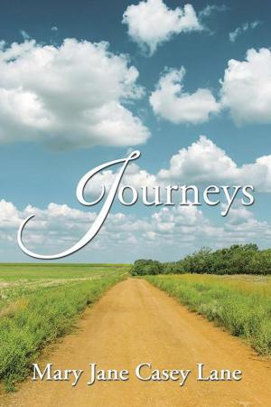 Cover of the book Journeys by Mary Berry