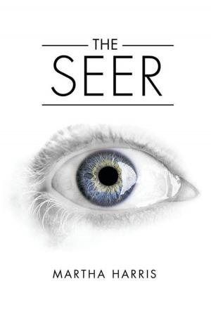 bigCover of the book The Seer by 
