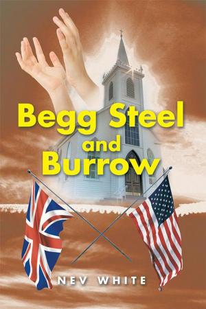 Cover of the book Begg Steel and Burrow by A.A. Van Ruler