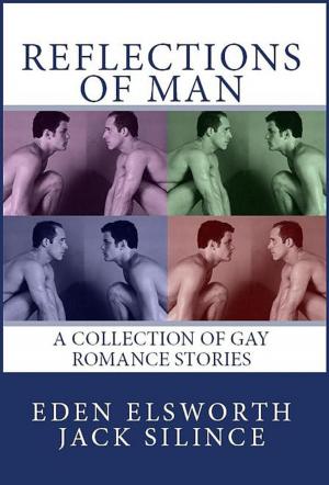 Cover of the book Reflections of Man by Gaby Crumb
