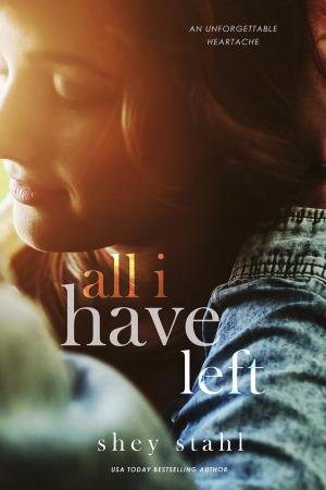 Cover of the book All I Have Left by Natasha Madison