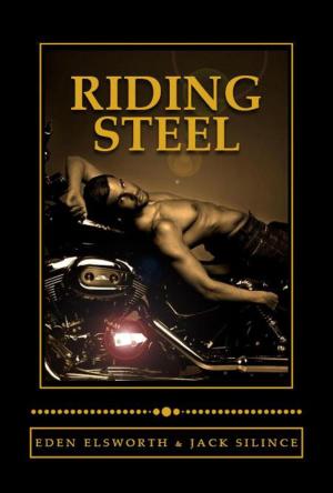 Cover of the book Riding Steel by Sienna Stone, Delilah Cain