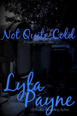 bigCover of the book Not Quite Cold (A Lowcountry Mystery) by 