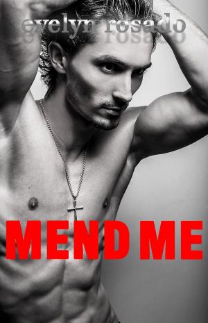 Cover of the book Mend Me (BBW Erotic Romance) by Lynne Silver