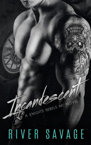 Cover of the book Incandescent by Meg Silver