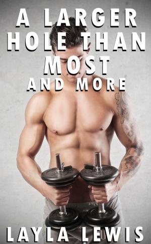 Cover of the book A Larger Hole Than Most and More (bundled piercing fetish and foursome erotica) by Mary-Margret Callahan