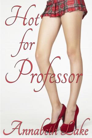Book cover of Hot for Professor