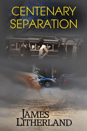 Cover of the book Centenary Separation by James Litherland