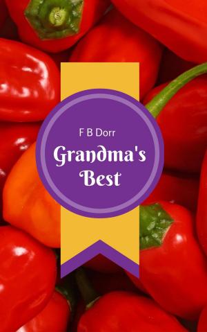 Cover of the book Grandma's best by Stephen Andrew Salamon