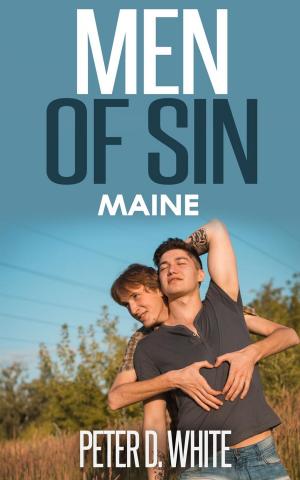 Cover of the book Men of Sin: Maine by C. J. Baker